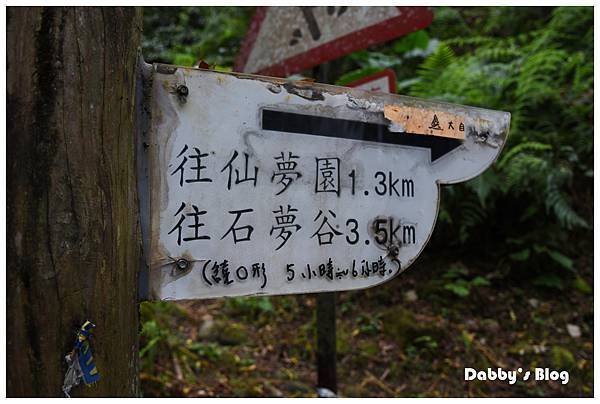 DSC_0407.JPG