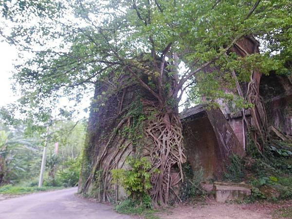 29.龍騰南斷橋