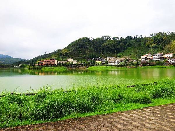 32.水洗過的綠景