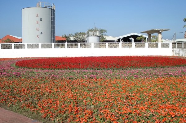 環市路花海.jpg