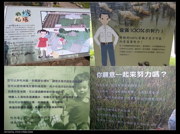 12邁向有機稻米.jpg