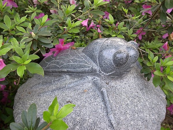 13.石雕蟬.jpg