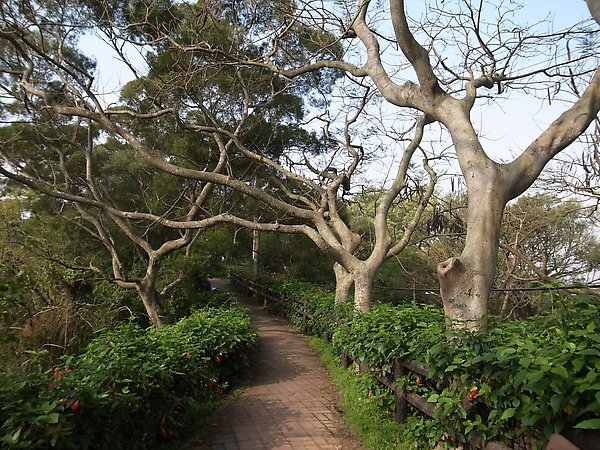 16.優美的自然步道.jpg