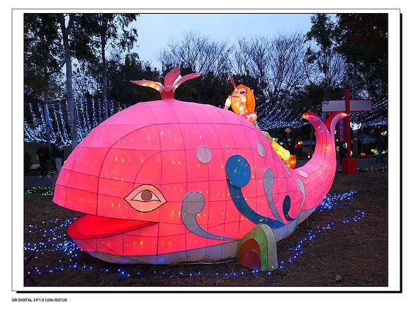 7.鯨魚.JPG