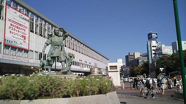 IMG_20151018_103326.jpg