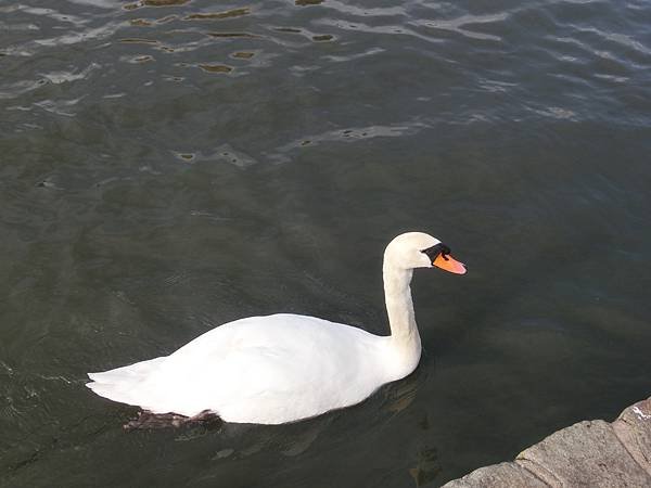 CIMG6317.JPG