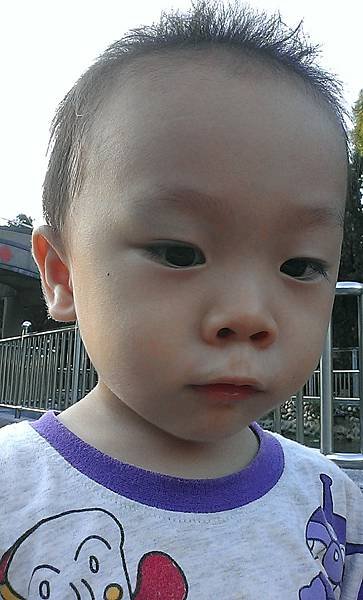 IMAG0816.jpg