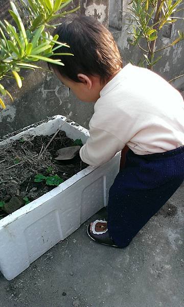 IMAG1691.jpg