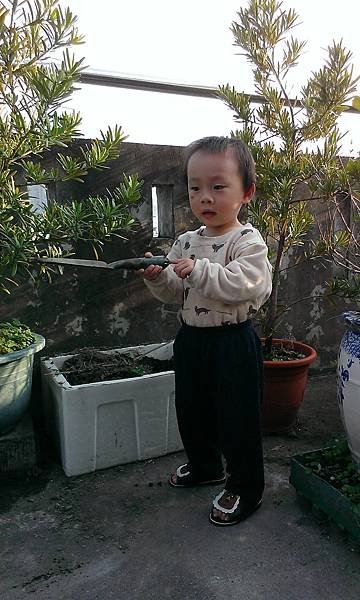 IMAG1704.jpg