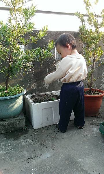 IMAG1709.jpg