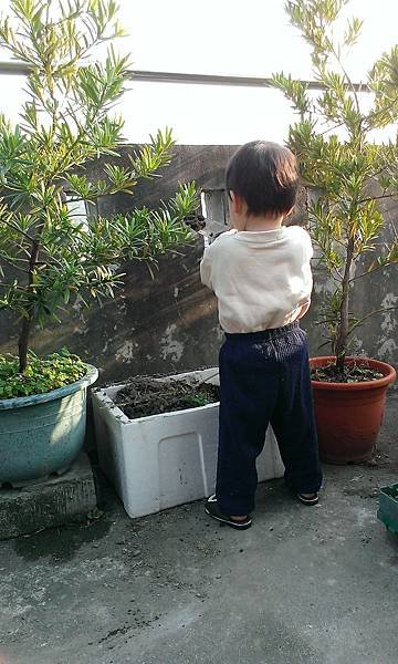 IMAG1710.jpg