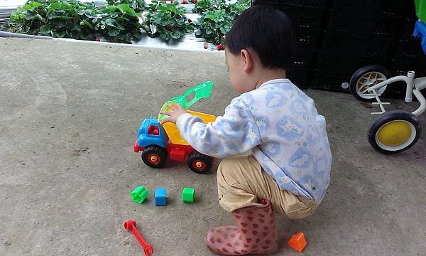 IMAG2723.jpg