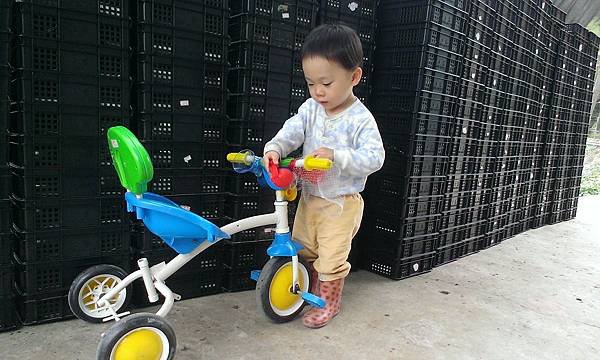 IMAG2732.jpg
