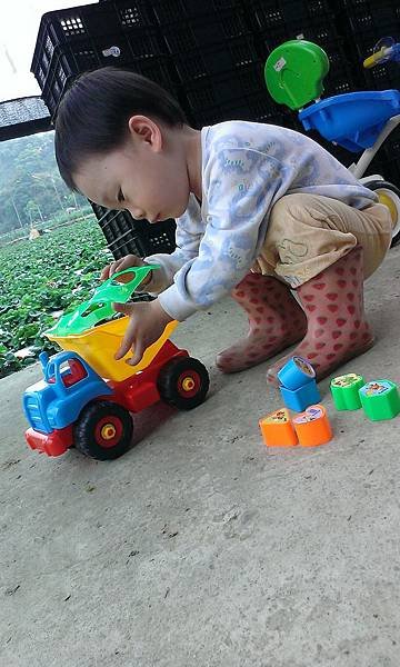 IMAG2743.jpg