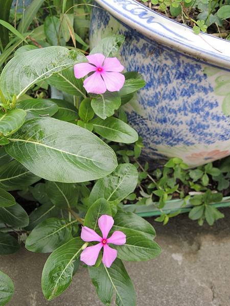 DSCN7855.JPG