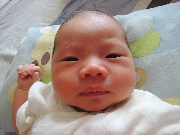 DSCN8286.JPG