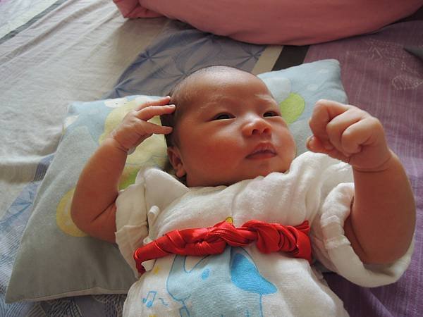 DSCN8288.JPG