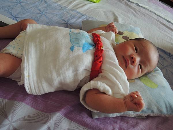 DSCN8290.JPG