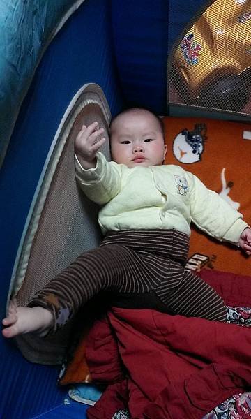 IMAG6545.jpg