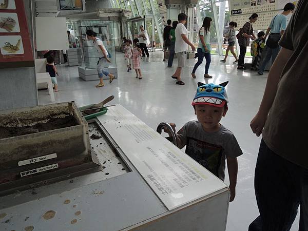 DSCN6391.JPG