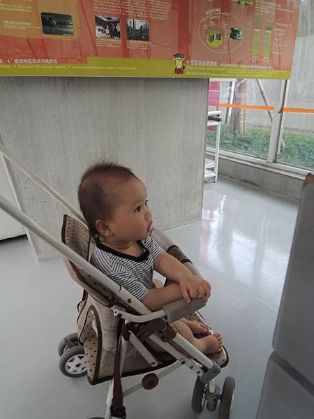 DSCN6397.JPG