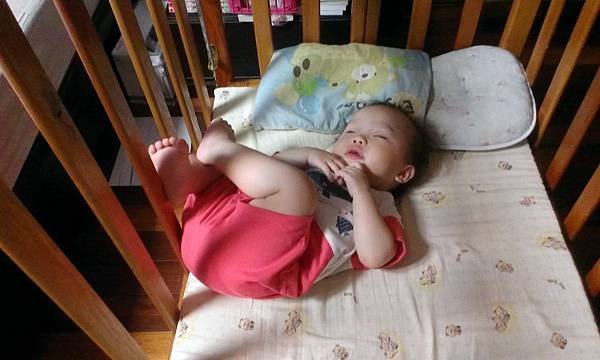 IMAG1804.jpg