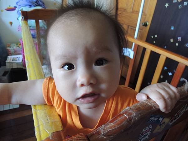 DSCN8636.JPG