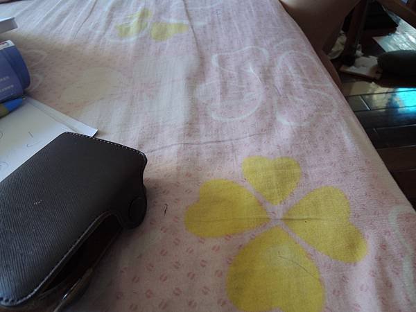 DSCN8655.JPG
