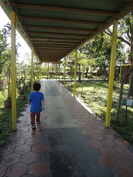 DSCN9784.JPG