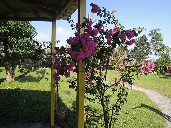 DSCN9788.JPG