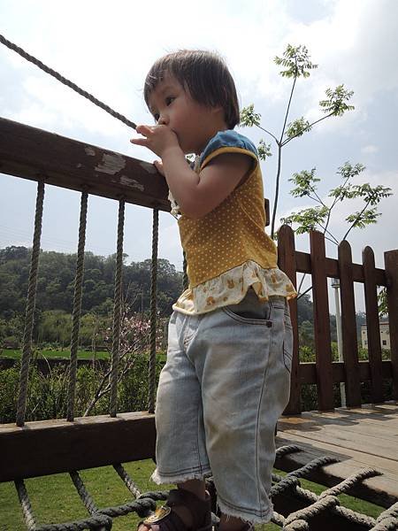 DSCN7091.JPG