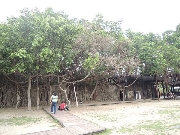 DSCN7345.JPG