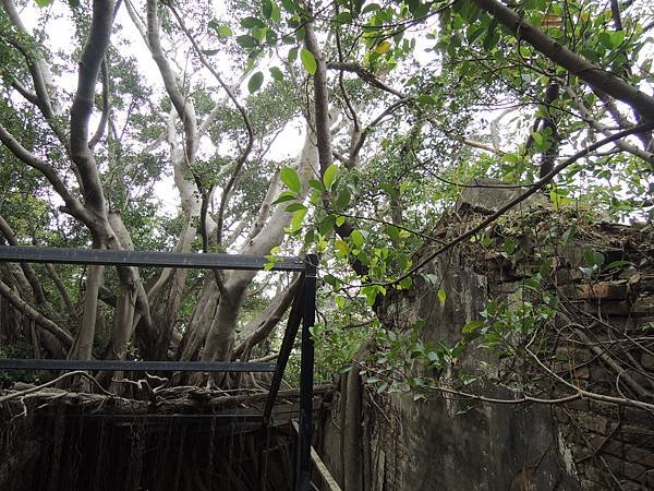DSCN7352.JPG