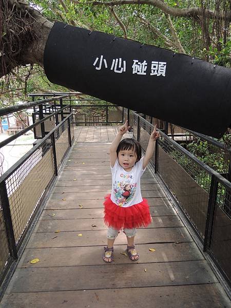 DSCN7364.JPG