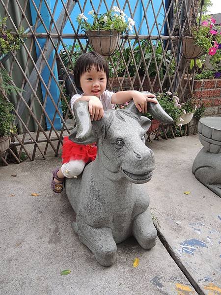 DSCN7426.JPG