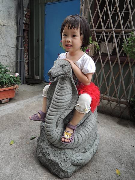 DSCN7432.JPG