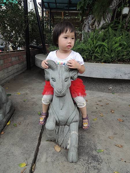 DSCN7435.JPG