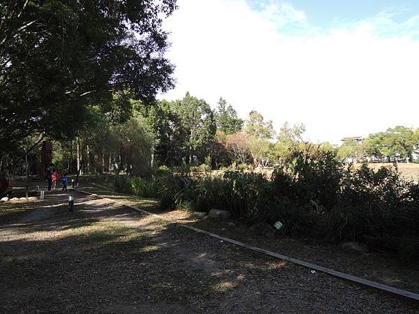 DSCN9307.JPG