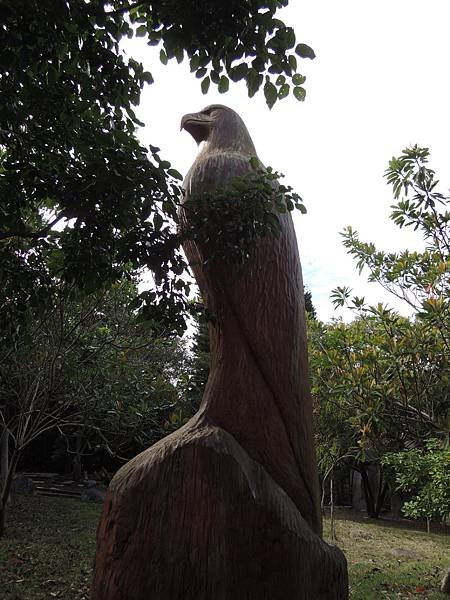 DSCN9311.JPG