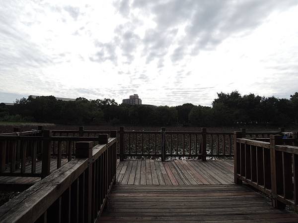 DSCN9316.JPG