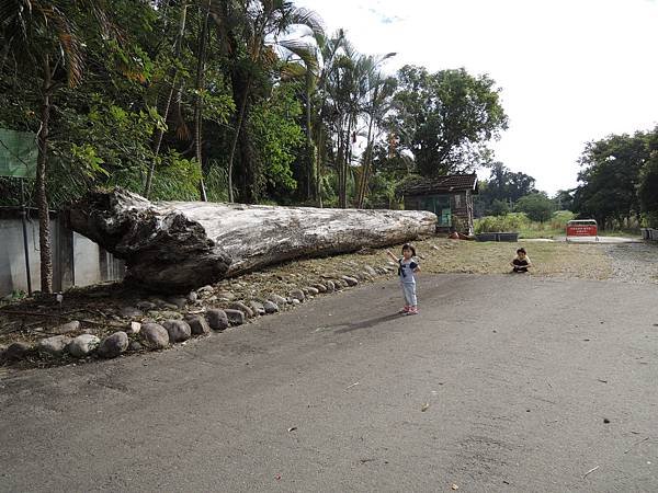 DSCN9329.JPG