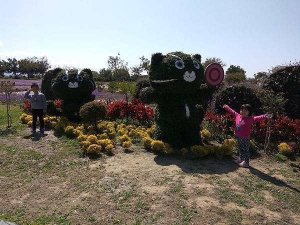IMG_20180310_104242.jpg