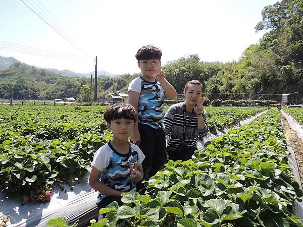 DSCN3488.JPG