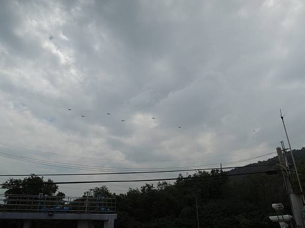 DSCN3951.JPG