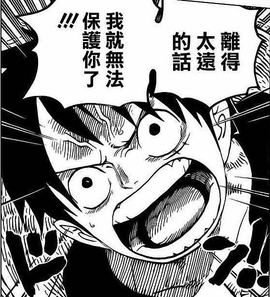 保護