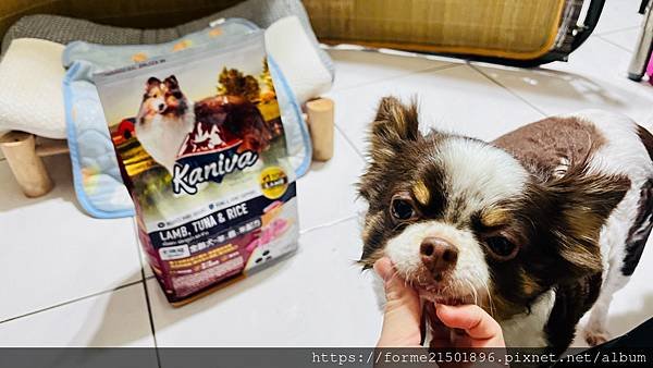 Kaniva卡咪哇寵物食品 全齡犬-羊.鮪.米配方