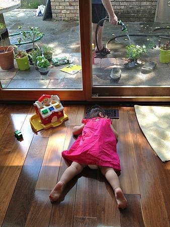 IMG_2551