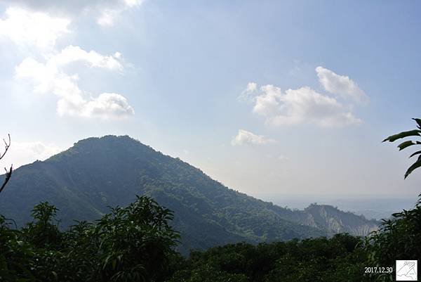 植物0211-39.jpg