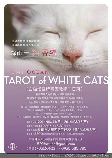白貓塔羅暑期桃園班