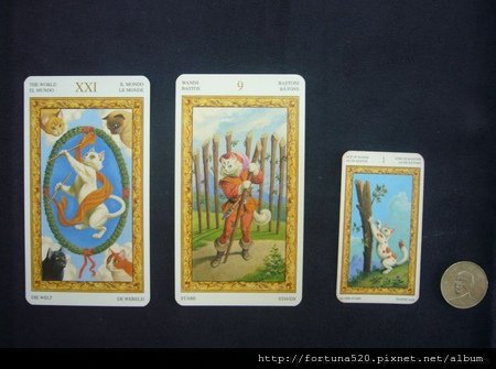 白貓塔羅牌大小牌正面